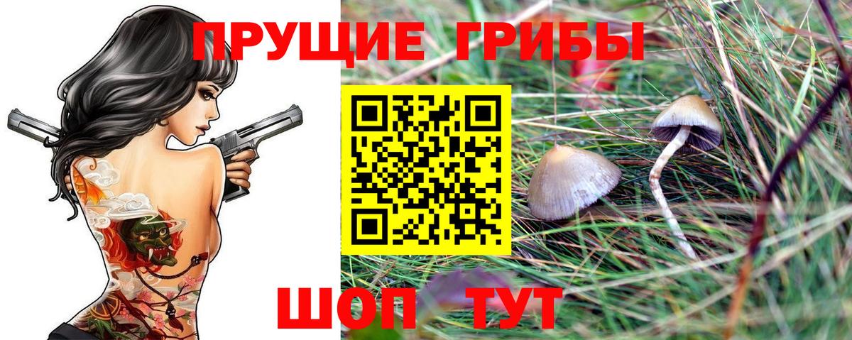 Галлюциногенные грибы мицелий  закладки  Кубинка  Вход с VPN 