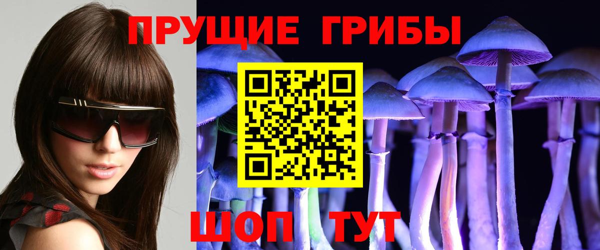 Псилоцибиновые грибы ЛСД Кубинка