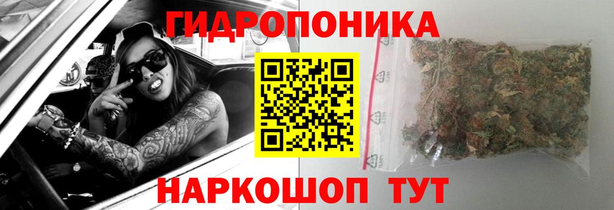 Бошки марихуана планчик  Марихуана планчик  Кубинка  Каннабис план  Вход с VPN 